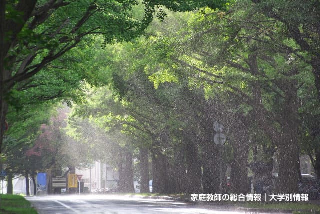 北海道大学の口コミ・解答速報