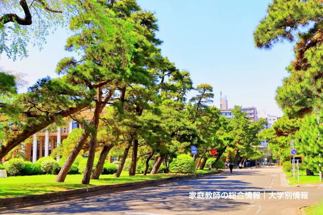 東北大学の口コミ・解答速報